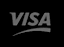 Visa Logo